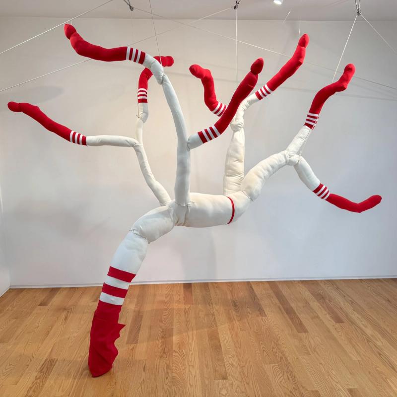 Dummy Tree, 2024​​​​‌﻿‍﻿​‍​‍‌‍﻿﻿‌﻿​‍‌‍‍‌‌‍‌﻿‌‍‍‌‌‍﻿‍​‍​‍​﻿‍‍​‍​‍‌﻿​﻿‌‍​‌‌‍﻿‍‌‍‍‌‌﻿‌​‌﻿‍‌​‍﻿‍‌‍‍‌‌‍﻿﻿​‍​‍​‍﻿​​‍​‍‌‍‍​‌﻿​‍‌‍‌‌‌‍‌‍​‍​‍​﻿‍‍​‍​‍‌‍‍​‌﻿‌​‌﻿‌​‌﻿​​‌﻿​﻿​﻿‍‍​‍﻿﻿​‍﻿﻿‌‍﻿​‌﻿‌‌‌﻿‌​‌‍‍​‌‍‌‌‌﻿​‍​‍﻿‌‌﻿‌​‌‍‍​‌‍‍‌‌‍‌‌​‍﻿‌‌﻿​​‌‍﻿﻿‌﻿​‍‌﻿‌​‌‍‌‍‌‍﻿﻿‌‍﻿​‌‍‍‌‌‍﻿﻿​‍﻿‍‌﻿​﻿‌‍​‌‌‍﻿‍‌‍‍‌‌﻿‌​‌﻿‍‌​‍﻿‍‌﻿​﻿‌﻿‌​‌﻿‌‌‌‍‌​‌‍‍‌‌‍﻿﻿​‍﻿﻿‌‍‍‌‌‍﻿‍‌﻿‌​‌‍‌‌‌‍﻿‍‌﻿‌​​‍﻿﻿‌‍‌‌‌‍‌​‌‍‍‌‌﻿‌​​‍﻿﻿‌‍﻿‌‌‍﻿﻿‌‍‌​‌‍‌‌​﻿﻿‌‌﻿​​‌﻿​‍‌‍‌‌‌﻿​﻿‌‍‌‌‌‍﻿‍‌﻿‌​‌‍​‌‌﻿‌​‌‍‍‌‌‍﻿﻿‌‍﻿‍​﻿‍﻿‌‍‍‌‌‍‌​​﻿﻿‌‌﻿​​‌‍‌​‌​‍‍‌​​‌‌‌‍‌‌﻿​﻿​﻿​​‌‍​‌‌​‌﻿‌​‌﻿‌‍​‌​﻿‌​‌​‍‍‌‍﻿‍‌‍‍﻿‌‍‌‌‌​﻿‌‌﻿‌﻿‌‌​‍‌‍‍‌‌‍‌﻿‌‍﻿‍​﻿‍﻿‌﻿‌​‌﻿‍‌‌﻿​​‌‍‌‌​﻿﻿‌‌﻿‌﻿‌‍﻿﻿‌﻿​‍‌‍‍﻿​﻿‍﻿‌﻿​​‌‍​‌‌﻿‌​‌‍‍​​﻿﻿‌‌﻿‌​‌‍‍‌‌﻿‌​‌‍﻿​‌‍‌‌​﻿﻿﻿‌‍​‍‌‍​‌‌﻿​﻿‌‍‌‌‌‌‌‌‌﻿​‍‌‍﻿​​﻿﻿‌‌‍‍​‌﻿‌​‌﻿‌​‌﻿​​‌﻿​﻿​‍‌‌​﻿​﻿‌​​‌​‍‌‌​﻿​‍‌​‌‍​‍‌‌​﻿​‍‌​‌‍‌‍﻿​‌﻿‌‌‌﻿‌​‌‍‍​‌‍‌‌‌﻿​‍​‍﻿‌‌﻿‌​‌‍‍​‌‍‍‌‌‍‌‌​‍﻿‌‌﻿​​‌‍﻿﻿‌﻿​‍‌﻿‌​‌‍‌‍‌‍﻿﻿‌‍﻿​‌‍‍‌‌‍﻿﻿​‍﻿‍‌﻿​﻿‌‍​‌‌‍﻿‍‌‍‍‌‌﻿‌​‌﻿‍‌​‍﻿‍‌﻿​﻿‌﻿‌​‌﻿‌‌‌‍‌​‌‍‍‌‌‍﻿﻿​‍‌‍‌‍‍‌‌‍‌​​﻿﻿‌‌﻿​​‌‍‌​‌​‍‍‌​​‌‌‌‍‌‌﻿​﻿​﻿​​‌‍​‌‌​‌﻿‌​‌﻿‌‍​‌​﻿‌​‌​‍‍‌‍﻿‍‌‍‍﻿‌‍‌‌‌​﻿‌‌﻿‌﻿‌‌​‍‌‍‍‌‌‍‌﻿‌‍﻿‍​‍‌‍‌﻿‌​‌﻿‍‌‌﻿​​‌‍‌‌​﻿﻿‌‌﻿‌﻿‌‍﻿﻿‌﻿​‍‌‍‍﻿​‍‌‍‌﻿​​‌‍​‌‌﻿‌​‌‍‍​​﻿﻿‌‌﻿‌​‌‍‍‌‌﻿‌​‌‍﻿​‌‍‌‌​‍‌‍‌﻿​​‌‍‌‌‌﻿​‍‌﻿​﻿‌﻿​​‌‍‌‌‌‍​﻿‌﻿‌​‌‍‍‌‌﻿‌‍‌‍‌‌​﻿﻿‌‌﻿​​‌﻿‌‌‌‍​‍‌‍﻿​‌‍‍‌‌﻿​﻿‌‍‍​‌‍‌‌‌‍‌​​‍​‍‌﻿﻿‌