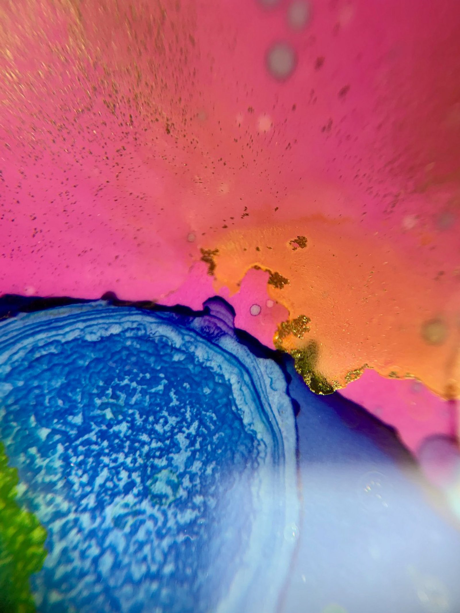 Prebiotic circus 2019 detail​​​​‌﻿‍﻿​‍​‍‌‍﻿﻿‌﻿​‍‌‍‍‌‌‍‌﻿‌‍‍‌‌‍﻿‍​‍​‍​﻿‍‍​‍​‍‌﻿​﻿‌‍​‌‌‍﻿‍‌‍‍‌‌﻿‌​‌﻿‍‌​‍﻿‍‌‍‍‌‌‍﻿﻿​‍​‍​‍﻿​​‍​‍‌‍‍​‌﻿​‍‌‍‌‌‌‍‌‍​‍​‍​﻿‍‍​‍​‍‌‍‍​‌﻿‌​‌﻿‌​‌﻿​​‌﻿​﻿​﻿‍‍​‍﻿﻿​‍﻿﻿‌‍﻿​‌﻿‌‌‌﻿‌​‌‍‍​‌‍‌‌‌﻿​‍​‍﻿‌‌﻿‌​‌‍‍​‌‍‍‌‌‍‌‌​‍﻿‌‌﻿​​‌‍﻿﻿‌﻿​‍‌﻿‌​‌‍‌‍‌‍﻿﻿‌‍﻿​‌‍‍‌‌‍﻿﻿​‍﻿‍‌﻿​﻿‌‍​‌‌‍﻿‍‌‍‍‌‌﻿‌​‌﻿‍‌​‍﻿‍‌﻿​﻿‌﻿‌​‌﻿‌‌‌‍‌​‌‍‍‌‌‍﻿﻿​‍﻿﻿‌‍‍‌‌‍﻿‍‌﻿‌​‌‍‌‌‌‍﻿‍‌﻿‌​​‍﻿﻿‌‍‌‌‌‍‌​‌‍‍‌‌﻿‌​​‍﻿﻿‌‍﻿‌‌‍﻿﻿‌‍‌​‌‍‌‌​﻿﻿‌‌﻿​​‌﻿​‍‌‍‌‌‌﻿​﻿‌‍‌‌‌‍﻿‍‌﻿‌​‌‍​‌‌﻿‌​‌‍‍‌‌‍﻿﻿‌‍﻿‍​﻿‍﻿‌‍‍‌‌‍‌​​﻿﻿‌‌​‌​‌‌‌​‌‍‌‌‌​‌​‌​​﻿‌‌​﻿‌​﻿‍‌‍﻿​‌‍﻿​‌​‌﻿‌‌​‍​﻿​‍‌‌‍‍‌‌​‌‌‍​‍‌​‌​‌‍﻿​‌﻿‌‌‌‌​‌​﻿‌﻿‌﻿‌‍​﻿​‌​﻿‍﻿‌﻿‌​‌﻿‍‌‌﻿​​‌‍‌‌​﻿﻿‌‌﻿‌﻿‌‍﻿﻿‌﻿​‍‌‍‍﻿​﻿‍﻿‌﻿​​‌‍​‌‌﻿‌​‌‍‍​​﻿﻿‌‌‍​﻿‌‍﻿﻿‌‍﻿‍‌﻿‌​‌‍‌‌‌‍﻿‍‌﻿‌​‌​​‍‌‍﻿​‌‍﻿﻿‌‍​﻿‌‍‍﻿‌﻿​﻿​‍‌‌​﻿‌‌‌​​‍‌‌﻿﻿‌‍‍﻿‌‍‌‌‌﻿‍‌​‍‌‌​﻿​﻿‌​‌​​‍‌‌​﻿​﻿‌​‌​​‍‌‌​﻿​‍​﻿​‍‌‍‍‌‌‍﻿‌‌‍​‌‌‍‌﻿‌‍‌‌​‍﻿‌​﻿​‌​﻿‌﻿​﻿‌‍​﻿‍​​﻿‌‍​﻿​‍​﻿​﻿​﻿‌‍​﻿‌‍​﻿​‌​﻿​﻿​﻿‌‍​﻿​‌​‍﻿‌​﻿​‌​‍‌‌​﻿​‍​﻿​‍​‍‌‌​﻿‌‌‌​‌​​‍﻿‍‌‍​‌‌‍﻿​‌﻿‌​​﻿﻿﻿‌‍​‍‌‍​‌‌﻿​﻿‌‍‌‌‌‌‌‌‌﻿​‍‌‍﻿​​﻿﻿‌‌‍‍​‌﻿‌​‌﻿‌​‌﻿​​‌﻿​﻿​‍‌‌​﻿​﻿‌​​‌​‍‌‌​﻿​‍‌​‌‍​‍‌‌​﻿​‍‌​‌‍‌‍﻿​‌﻿‌‌‌﻿‌​‌‍‍​‌‍‌‌‌﻿​‍​‍﻿‌‌﻿‌​‌‍‍​‌‍‍‌‌‍‌‌​‍﻿‌‌﻿​​‌‍﻿﻿‌﻿​‍‌﻿‌​‌‍‌‍‌‍﻿﻿‌‍﻿​‌‍‍‌‌‍﻿﻿​‍﻿‍‌﻿​﻿‌‍​‌‌‍﻿‍‌‍‍‌‌﻿‌​‌﻿‍‌​‍﻿‍‌﻿​﻿‌﻿‌​‌﻿‌‌‌‍‌​‌‍‍‌‌‍﻿﻿​‍‌‍‌‍‍‌‌‍‌​​﻿﻿‌‌​‌​‌‌‌​‌‍‌‌‌​‌​‌​​﻿‌‌​﻿‌​﻿‍‌‍﻿​‌‍﻿​‌​‌﻿‌‌​‍​﻿​‍‌‌‍‍‌‌​‌‌‍​‍‌​‌​‌‍﻿​‌﻿‌‌‌‌​‌​﻿‌﻿‌﻿‌‍​﻿​‌​‍‌‍‌﻿‌​‌﻿‍‌‌﻿​​‌‍‌‌​﻿﻿‌‌﻿‌﻿‌‍﻿﻿‌﻿​‍‌‍‍﻿​‍‌‍‌﻿​​‌‍​‌‌﻿‌​‌‍‍​​﻿﻿‌‌‍​﻿‌‍﻿﻿‌‍﻿‍‌﻿‌​‌‍‌‌‌‍﻿‍‌﻿‌​‌​​‍‌‍﻿​‌‍﻿﻿‌‍​﻿‌‍‍﻿‌﻿​﻿​‍‌‌​﻿‌‌‌​​‍‌‌﻿﻿‌‍‍﻿‌‍‌‌‌﻿‍‌​‍‌‌​﻿​﻿‌​‌​​‍‌‌​﻿​﻿‌​‌​​‍‌‌​﻿​‍​﻿​‍‌‍‍‌‌‍﻿‌‌‍​‌‌‍‌﻿‌‍‌‌​‍﻿‌​﻿​‌​﻿‌﻿​﻿‌‍​﻿‍​​﻿‌‍​﻿​‍​﻿​﻿​﻿‌‍​﻿‌‍​﻿​‌​﻿​﻿​﻿‌‍​﻿​‌​‍﻿‌​﻿​‌​‍‌‌​﻿​‍​﻿​‍​‍‌‌​﻿‌‌‌​‌​​‍﻿‍‌‍​‌‌‍﻿​‌﻿‌​​‍‌‍‌﻿​​‌‍‌‌‌﻿​‍‌﻿​﻿‌﻿​​‌‍‌‌‌‍​﻿‌﻿‌​‌‍‍‌‌﻿‌‍‌‍‌‌​﻿﻿‌‌﻿​​‌﻿‌‌‌‍​‍‌‍﻿​‌‍‍‌‌﻿​﻿‌‍‍​‌‍‌‌‌‍‌​​‍​‍‌﻿﻿‌