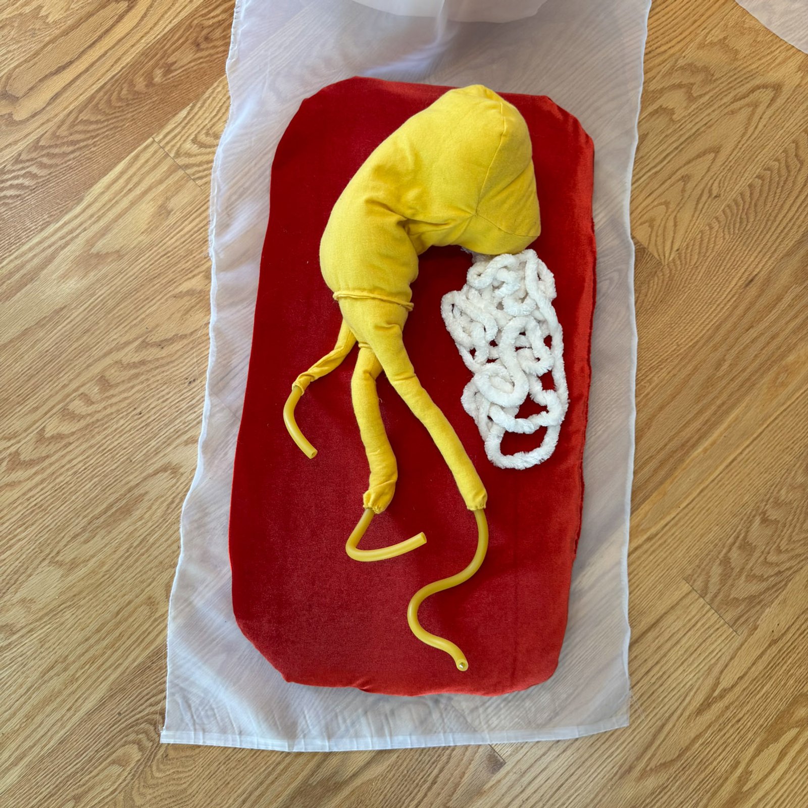 Photo of Personalized Organ, 2025​​​​‌﻿‍﻿​‍​‍‌‍﻿﻿‌﻿​‍‌‍‍‌‌‍‌﻿‌‍‍‌‌‍﻿‍​‍​‍​﻿‍‍​‍​‍‌﻿​﻿‌‍​‌‌‍﻿‍‌‍‍‌‌﻿‌​‌﻿‍‌​‍﻿‍‌‍‍‌‌‍﻿﻿​‍​‍​‍﻿​​‍​‍‌‍‍​‌﻿​‍‌‍‌‌‌‍‌‍​‍​‍​﻿‍‍​‍​‍‌‍‍​‌﻿‌​‌﻿‌​‌﻿​​‌﻿​﻿​﻿‍‍​‍﻿﻿​‍﻿﻿‌‍﻿​‌﻿‌‌‌﻿‌​‌‍‍​‌‍‌‌‌﻿​‍​‍﻿‌‌﻿‌​‌‍‍​‌‍‍‌‌‍‌‌​‍﻿‌‌﻿​​‌‍﻿﻿‌﻿​‍‌﻿‌​‌‍‌‍‌‍﻿﻿‌‍﻿​‌‍‍‌‌‍﻿﻿​‍﻿‍‌﻿​﻿‌‍​‌‌‍﻿‍‌‍‍‌‌﻿‌​‌﻿‍‌​‍﻿‍‌﻿​﻿‌﻿‌​‌﻿‌‌‌‍‌​‌‍‍‌‌‍﻿﻿​‍﻿﻿‌‍‍‌‌‍﻿‍‌﻿‌​‌‍‌‌‌‍﻿‍‌﻿‌​​‍﻿﻿‌‍‌‌‌‍‌​‌‍‍‌‌﻿‌​​‍﻿﻿‌‍﻿‌‌‍﻿﻿‌‍‌​‌‍‌‌​﻿﻿‌‌﻿​​‌﻿​‍‌‍‌‌‌﻿​﻿‌‍‌‌‌‍﻿‍‌﻿‌​‌‍​‌‌﻿‌​‌‍‍‌‌‍﻿﻿‌‍﻿‍​﻿‍﻿‌‍‍‌‌‍‌​​﻿﻿‌‌﻿​​‌‍‌​‌​‍‍‌​​‌‌‌‍‌‌﻿​﻿​﻿​​‌‍​‌‌​‌﻿‌​‌﻿‌‍​‌​﻿‌​‌​‍‍‌‍﻿‍‌‍‍﻿‌‍‌‌‌​﻿‌‌﻿‌﻿‌‌​‍‌‍‍‍‌​​﻿‌​‍‌​﻿‍﻿‌﻿‌​‌﻿‍‌‌﻿​​‌‍‌‌​﻿﻿‌‌﻿‌﻿‌‍﻿﻿‌﻿​‍‌‍‍﻿​﻿‍﻿‌﻿​​‌‍​‌‌﻿‌​‌‍‍​​﻿﻿‌‌‍​﻿‌‍﻿﻿‌‍﻿‍‌﻿‌​‌‍‌‌‌‍﻿‍‌﻿‌​‌​​‍‌‍﻿​‌‍﻿﻿‌‍​﻿‌‍‍﻿‌﻿​﻿​‍‌‌​﻿‌‌‌​​‍‌‌﻿﻿‌‍‍﻿‌‍‌‌‌﻿‍‌​‍‌‌​﻿​﻿‌​‌​​‍‌‌​﻿​﻿‌​‌​​‍‌‌​﻿​‍​﻿​‍‌‍‍‌‌‍﻿‌‌‍​‌‌‍‌﻿‌‍‌‌​‍﻿‌​﻿​‌​﻿‌﻿​﻿‌‍​﻿‍​​﻿‌‍​﻿​‍​﻿​﻿​﻿‌﻿​﻿​​​﻿​﻿​﻿‌﻿​﻿‌‌​﻿‌﻿​‍﻿‌​﻿‌​​‍‌‌​﻿​‍​﻿​‍​‍‌‌​﻿‌‌‌​‌​​‍﻿‍‌‍​‌‌‍﻿​‌﻿‌​​﻿﻿﻿‌‍​‍‌‍​‌‌﻿​﻿‌‍‌‌‌‌‌‌‌﻿​‍‌‍﻿​​﻿﻿‌‌‍‍​‌﻿‌​‌﻿‌​‌﻿​​‌﻿​﻿​‍‌‌​﻿​﻿‌​​‌​‍‌‌​﻿​‍‌​‌‍​‍‌‌​﻿​‍‌​‌‍‌‍﻿​‌﻿‌‌‌﻿‌​‌‍‍​‌‍‌‌‌﻿​‍​‍﻿‌‌﻿‌​‌‍‍​‌‍‍‌‌‍‌‌​‍﻿‌‌﻿​​‌‍﻿﻿‌﻿​‍‌﻿‌​‌‍‌‍‌‍﻿﻿‌‍﻿​‌‍‍‌‌‍﻿﻿​‍﻿‍‌﻿​﻿‌‍​‌‌‍﻿‍‌‍‍‌‌﻿‌​‌﻿‍‌​‍﻿‍‌﻿​﻿‌﻿‌​‌﻿‌‌‌‍‌​‌‍‍‌‌‍﻿﻿​‍‌‍‌‍‍‌‌‍‌​​﻿﻿‌‌﻿​​‌‍‌​‌​‍‍‌​​‌‌‌‍‌‌﻿​﻿​﻿​​‌‍​‌‌​‌﻿‌​‌﻿‌‍​‌​﻿‌​‌​‍‍‌‍﻿‍‌‍‍﻿‌‍‌‌‌​﻿‌‌﻿‌﻿‌‌​‍‌‍‍‍‌​​﻿‌​‍‌​‍‌‍‌﻿‌​‌﻿‍‌‌﻿​​‌‍‌‌​﻿﻿‌‌﻿‌﻿‌‍﻿﻿‌﻿​‍‌‍‍﻿​‍‌‍‌﻿​​‌‍​‌‌﻿‌​‌‍‍​​﻿﻿‌‌‍​﻿‌‍﻿﻿‌‍﻿‍‌﻿‌​‌‍‌‌‌‍﻿‍‌﻿‌​‌​​‍‌‍﻿​‌‍﻿﻿‌‍​﻿‌‍‍﻿‌﻿​﻿​‍‌‌​﻿‌‌‌​​‍‌‌﻿﻿‌‍‍﻿‌‍‌‌‌﻿‍‌​‍‌‌​﻿​﻿‌​‌​​‍‌‌​﻿​﻿‌​‌​​‍‌‌​﻿​‍​﻿​‍‌‍‍‌‌‍﻿‌‌‍​‌‌‍‌﻿‌‍‌‌​‍﻿‌​﻿​‌​﻿‌﻿​﻿‌‍​﻿‍​​﻿‌‍​﻿​‍​﻿​﻿​﻿‌﻿​﻿​​​﻿​﻿​﻿‌﻿​﻿‌‌​﻿‌﻿​‍﻿‌​﻿‌​​‍‌‌​﻿​‍​﻿​‍​‍‌‌​﻿‌‌‌​‌​​‍﻿‍‌‍​‌‌‍﻿​‌﻿‌​​‍‌‍‌﻿​​‌‍‌‌‌﻿​‍‌﻿​﻿‌﻿​​‌‍‌‌‌‍​﻿‌﻿‌​‌‍‍‌‌﻿‌‍‌‍‌‌​﻿﻿‌‌﻿​​‌﻿‌‌‌‍​‍‌‍﻿​‌‍‍‌‌﻿​﻿‌‍‍​‌‍‌‌‌‍‌​​‍​‍‌﻿﻿‌