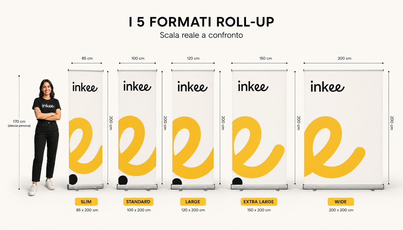 Confronto dimensioni roll-up: standard 85x200, large 120x200, maxi 150x200 e slim 60x200
