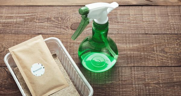 Why Non-Toxic Cleaning Matters: Protecting Your Home and Health