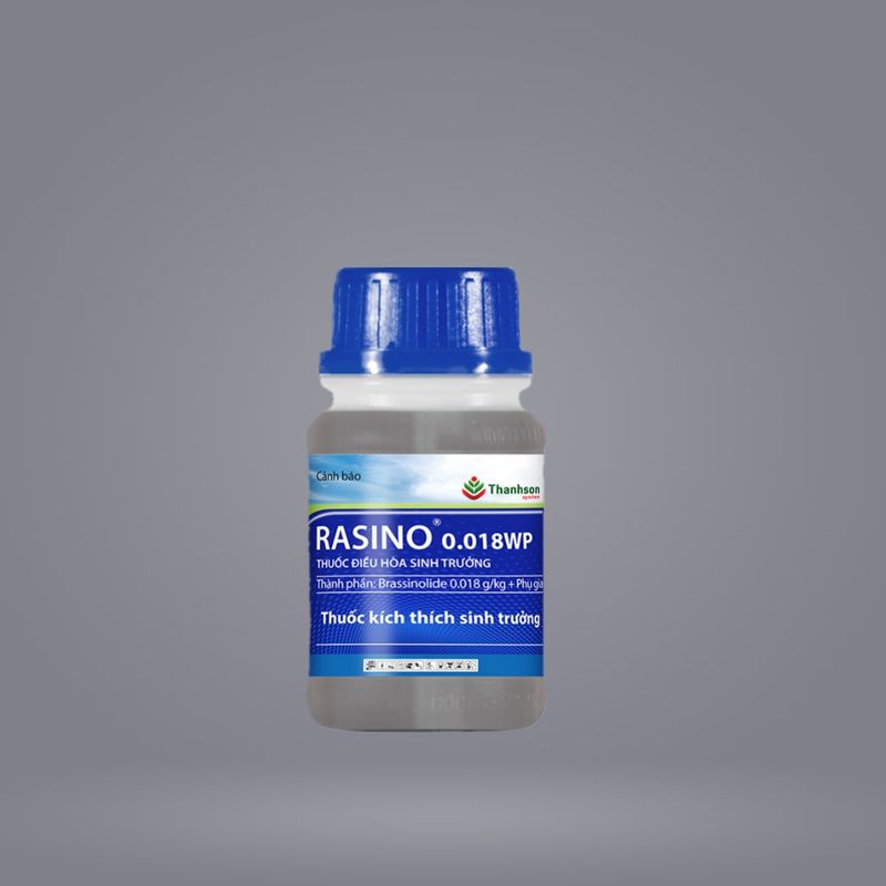 RASSINO 0.018WP