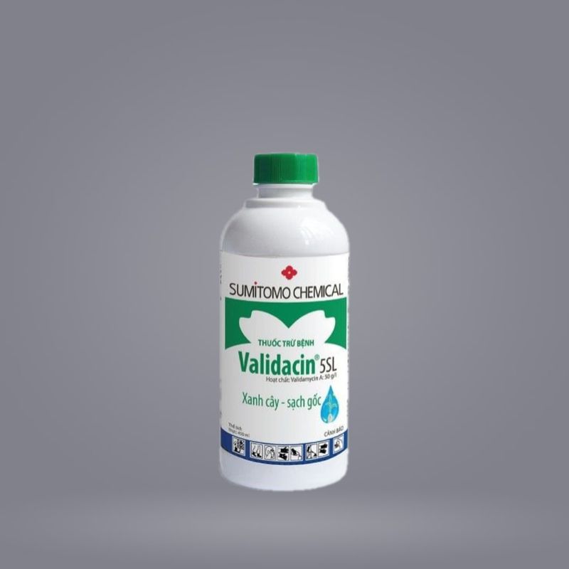 VALIDACIN 5SL