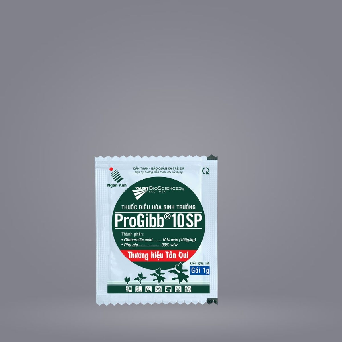 PROGIBB 10SP