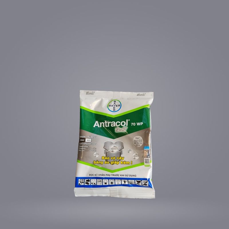ANTRACOL 70WP
