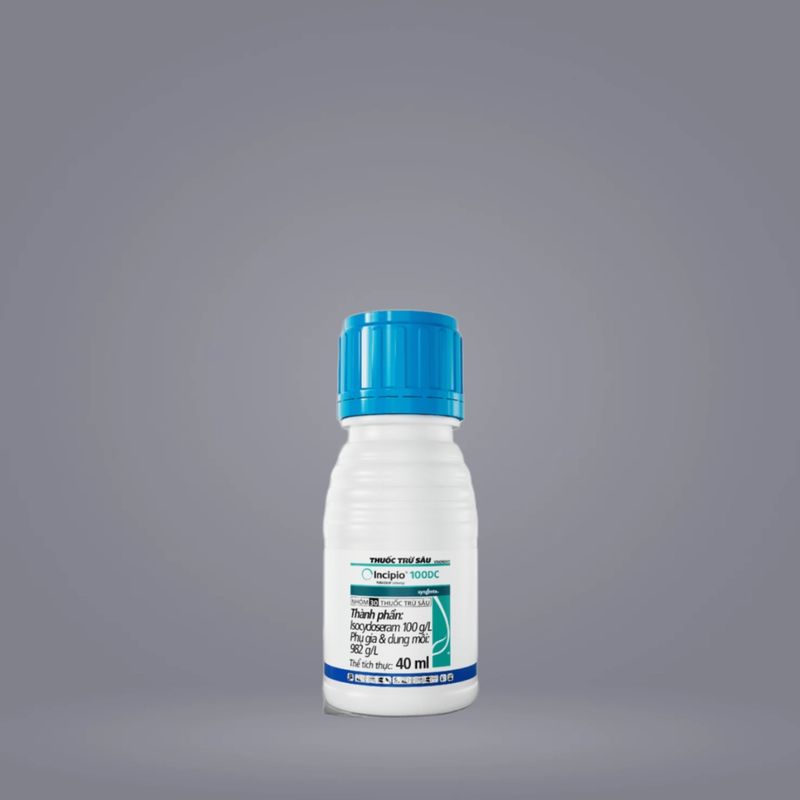 INCIPIO 100DC