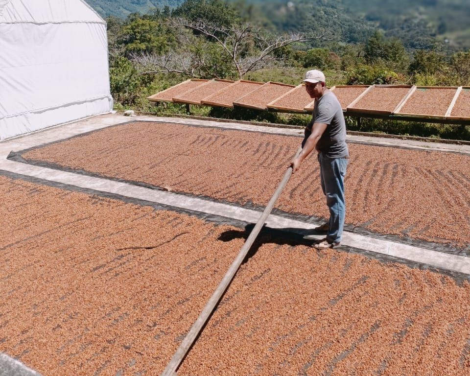 Finca Las Ranas