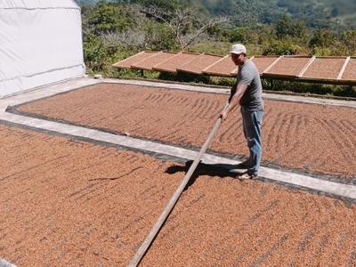 Finca Las Ranas