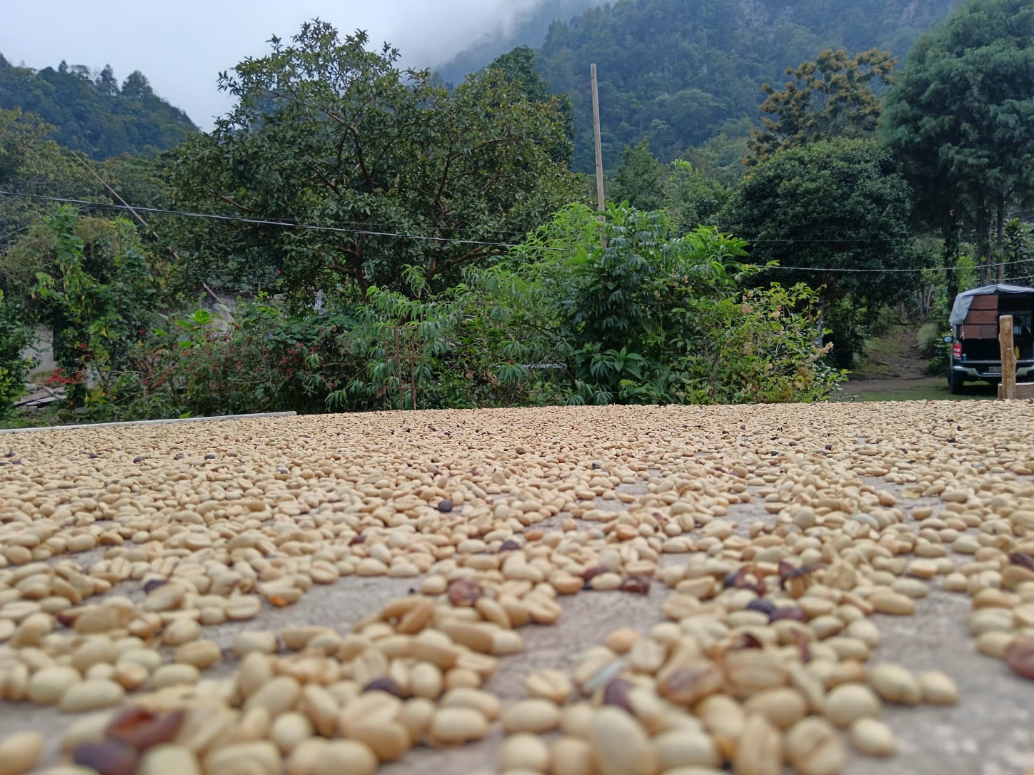 Finca El Cachichin