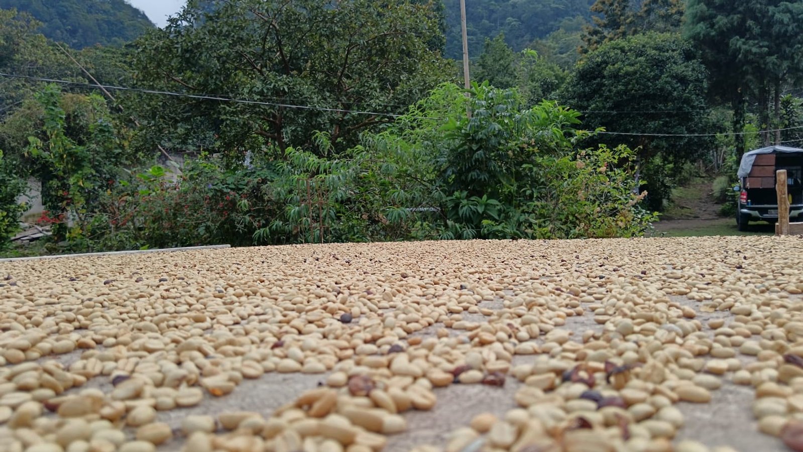 Finca El Cachichin