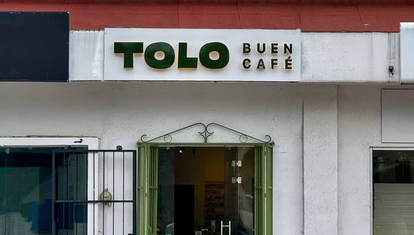 Bar and interior of TOLO Pino Suárez, a specialty café in Toluca on Boulevard José María Pino Suárez