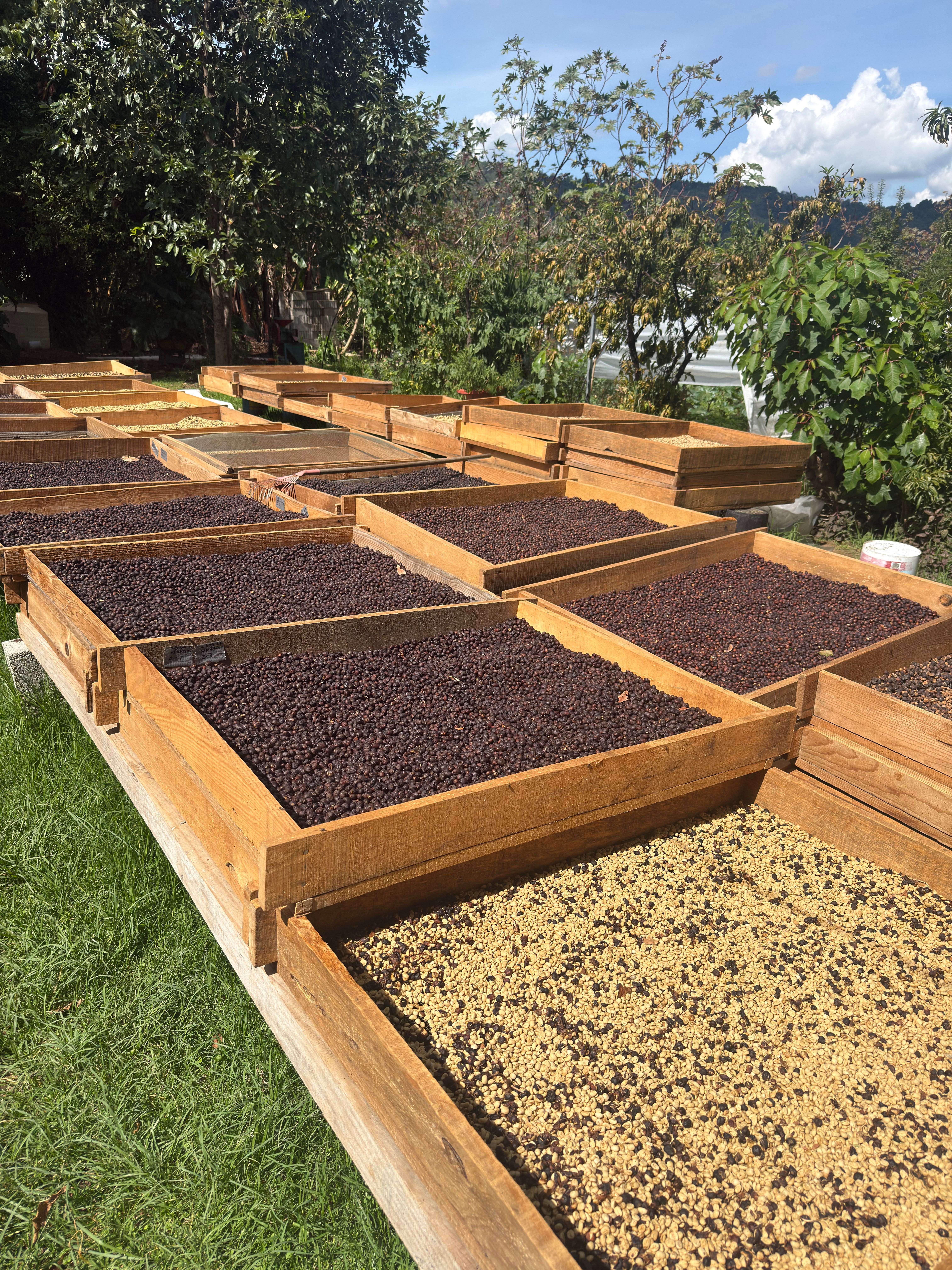 Finca La Ilusión