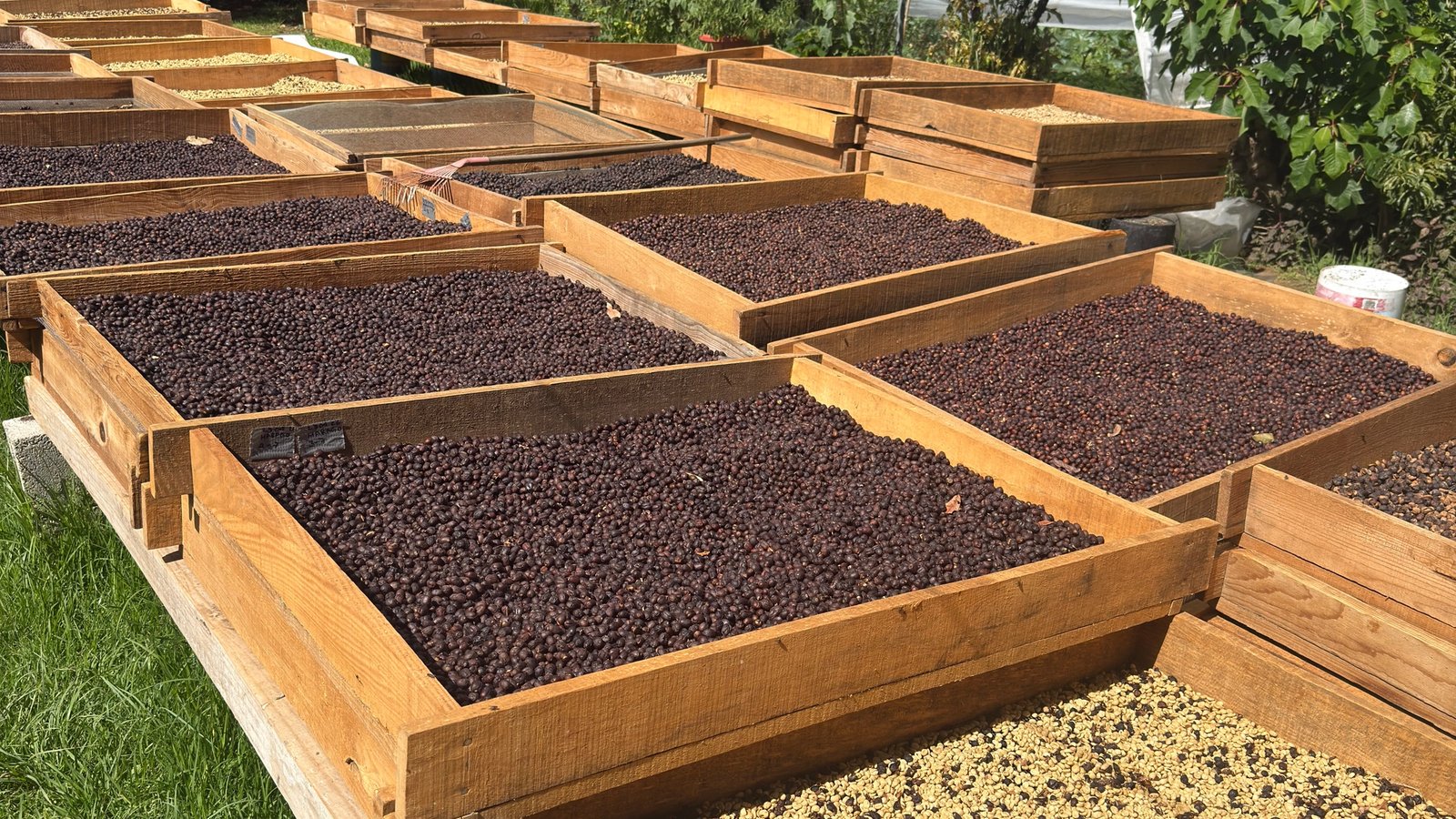 Finca La Ilusión