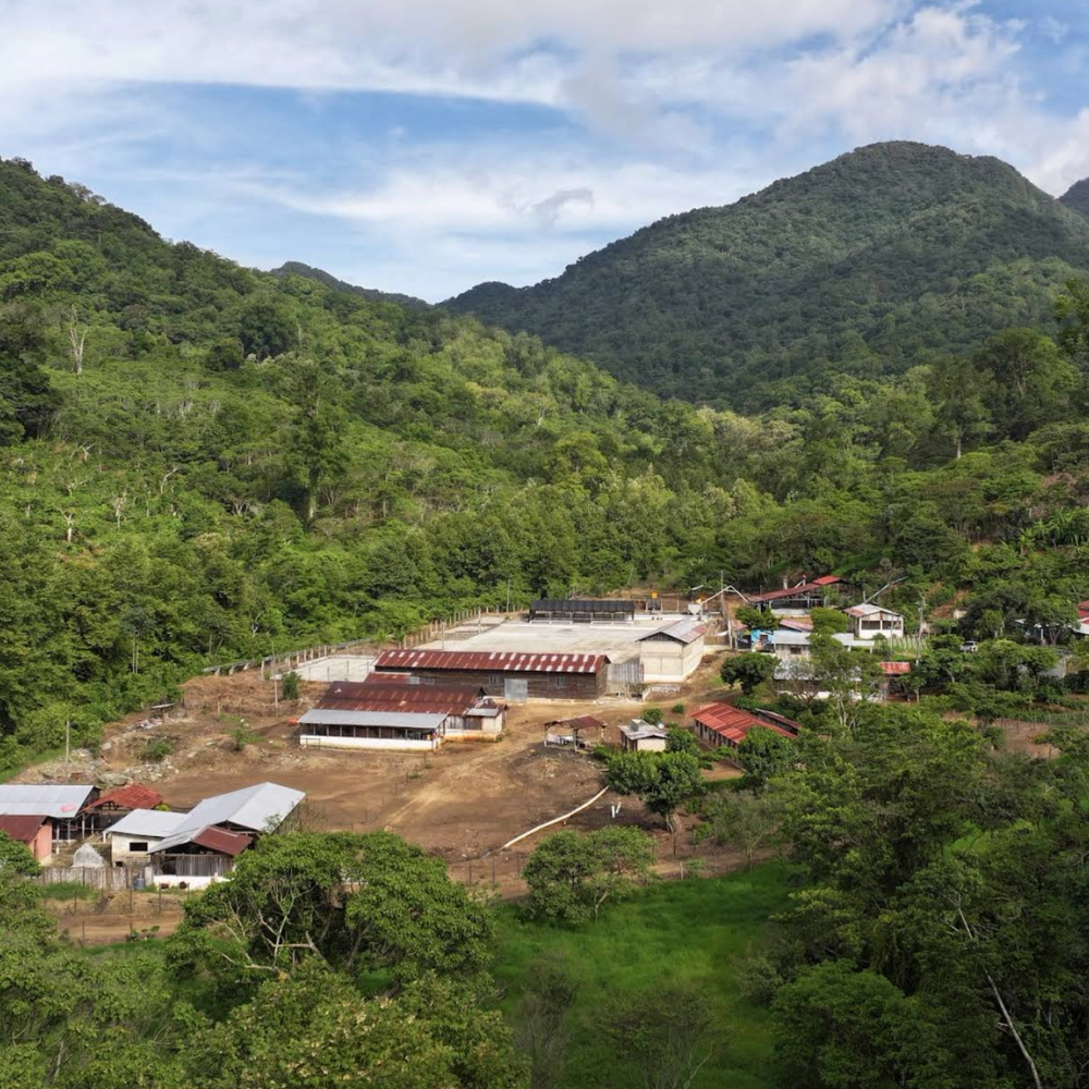 Finca Santa Cruz