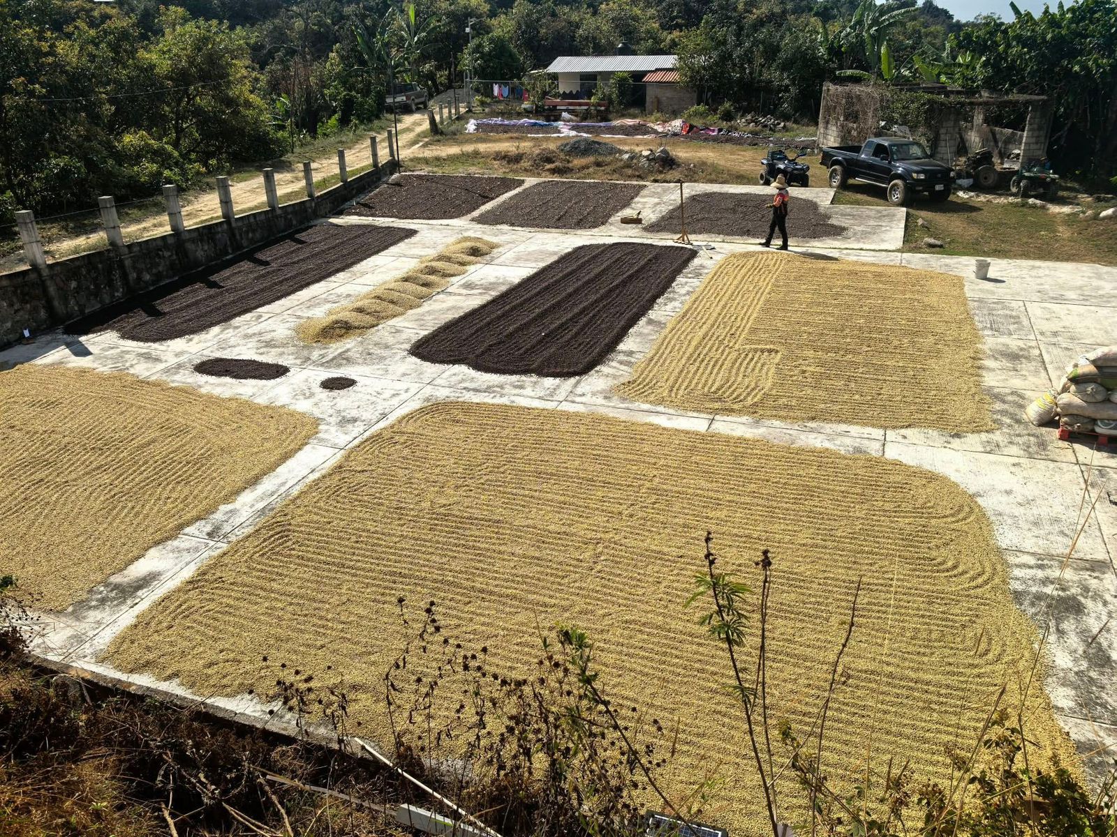Finca Kalid