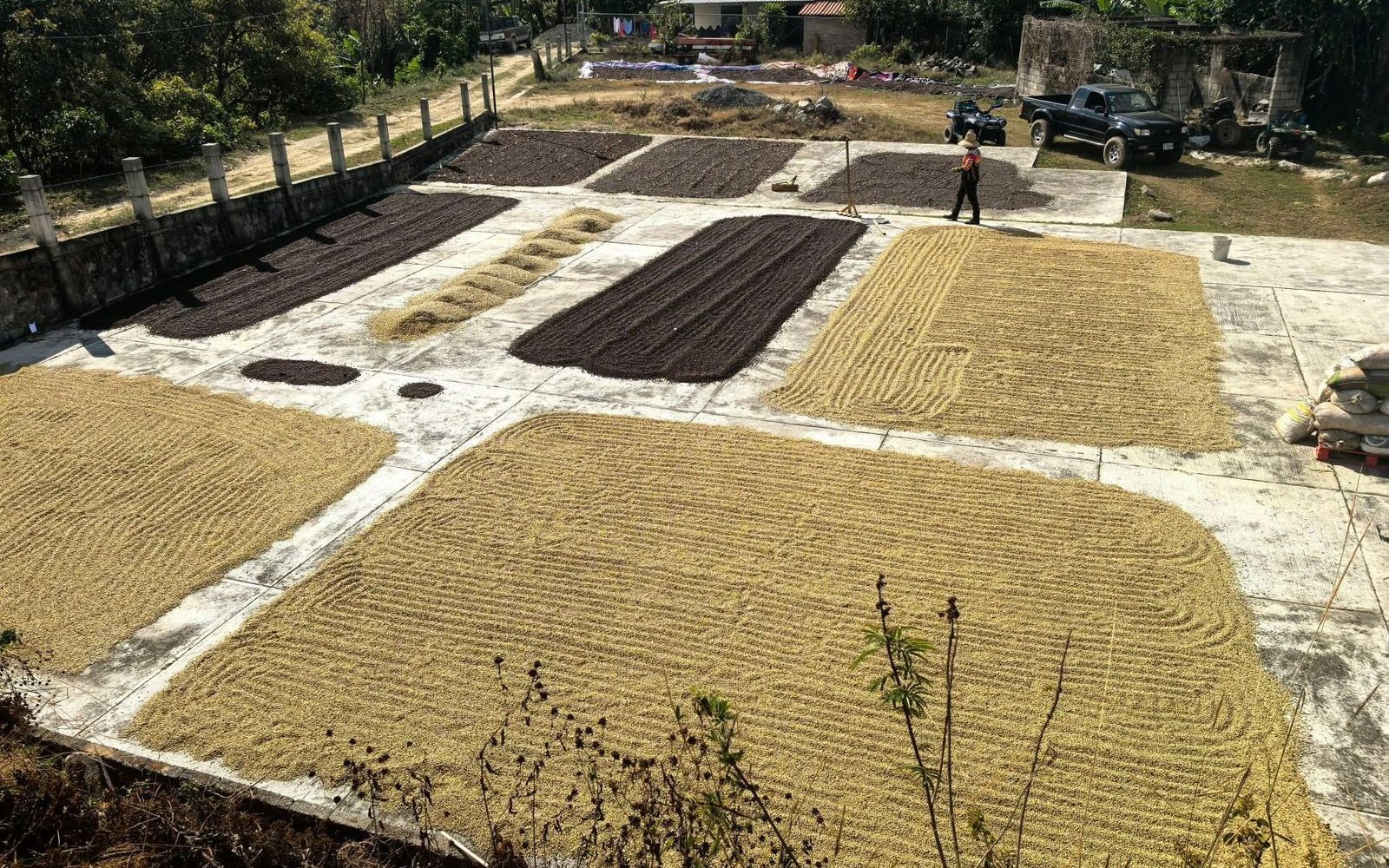 Finca Kalid