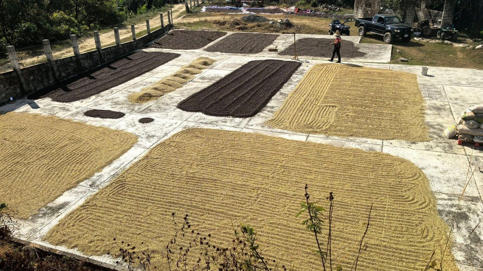 Finca Kalid