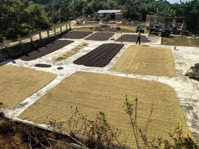 Finca Kalid