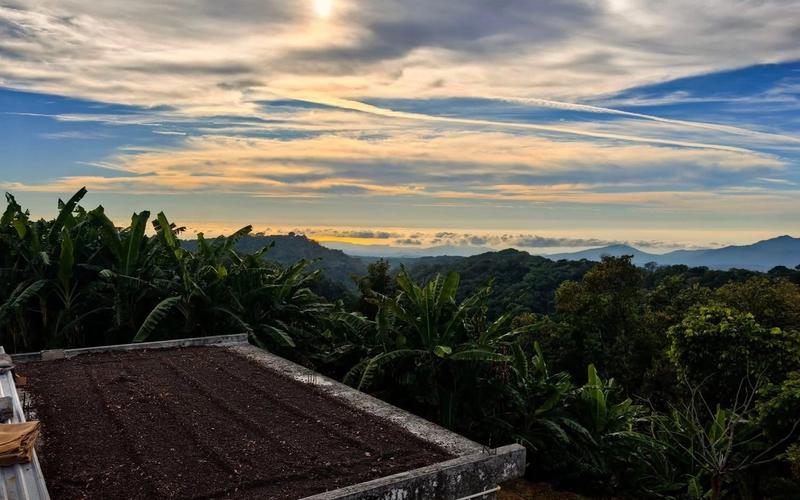 Caramelo Nayarit region