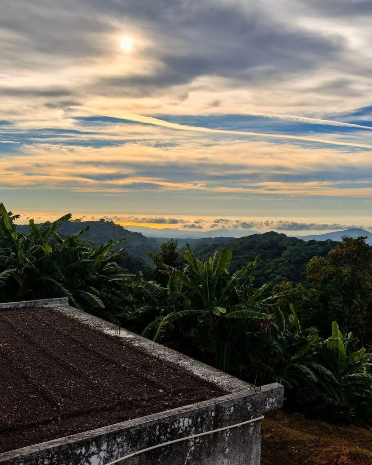 Caramelo Nayarit region