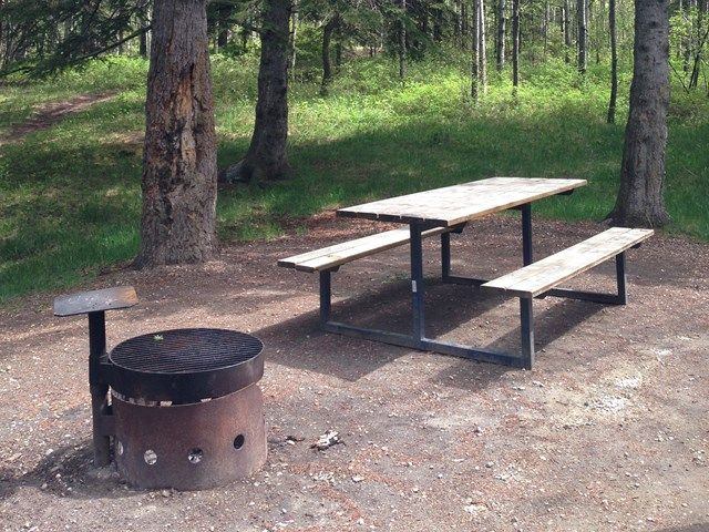A picnic table and firepit at the park
