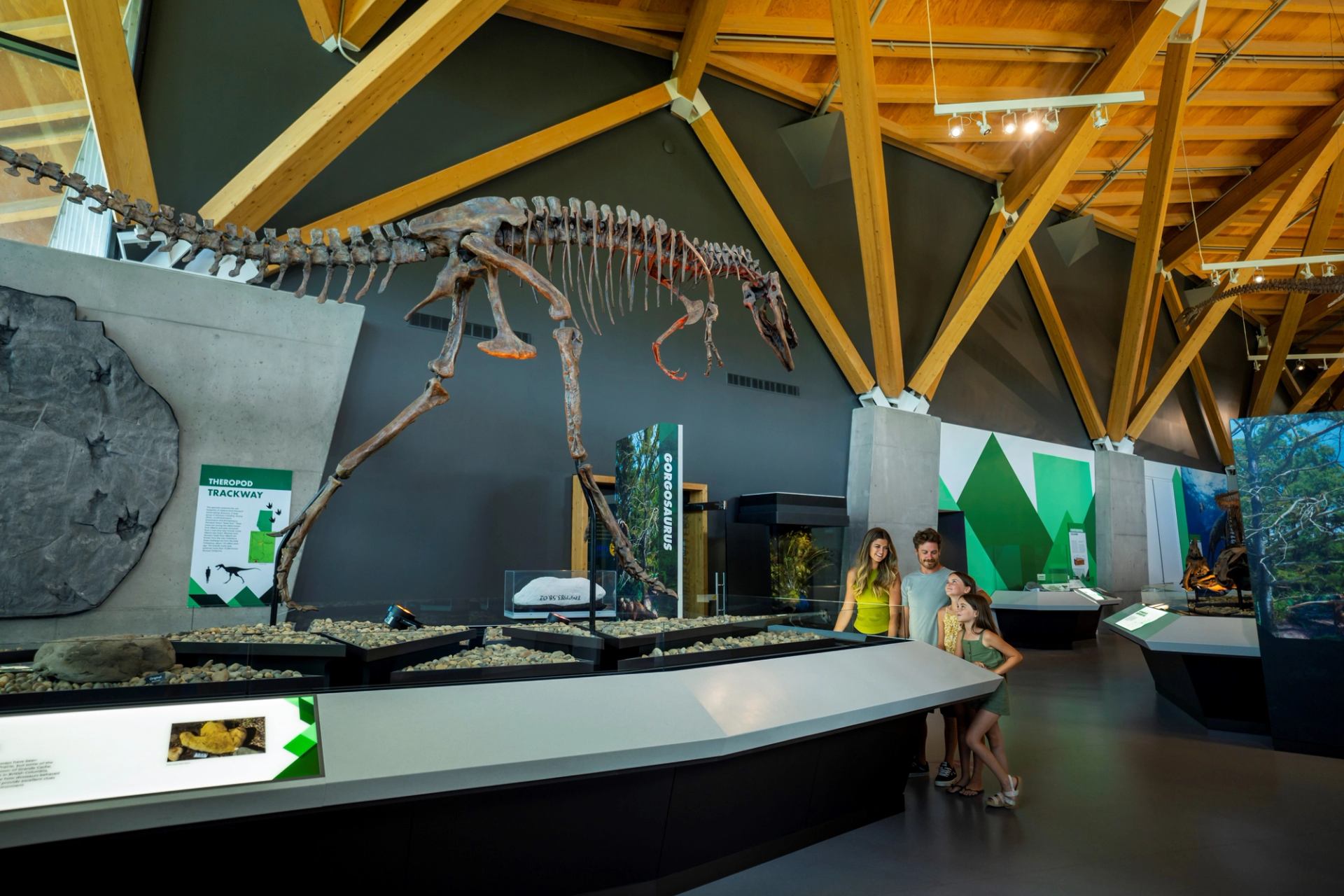 A family of four looks at a display at the Philip J. Currie Museum.