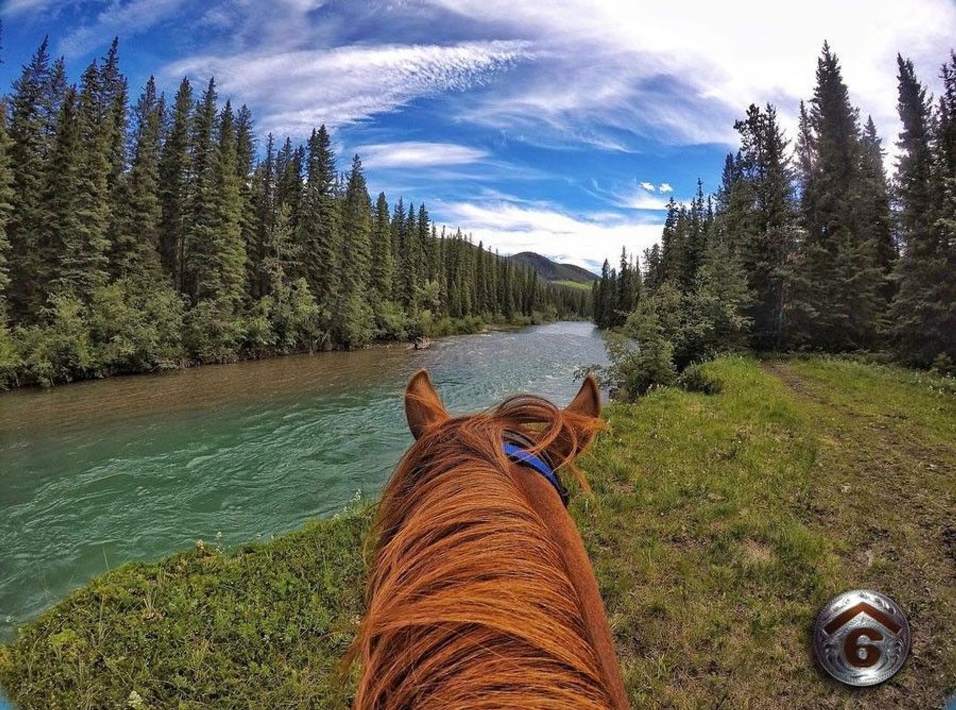 View of an alpine river from horseback.
