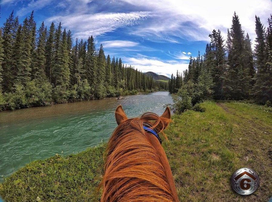 View of an alpine river from horseback.