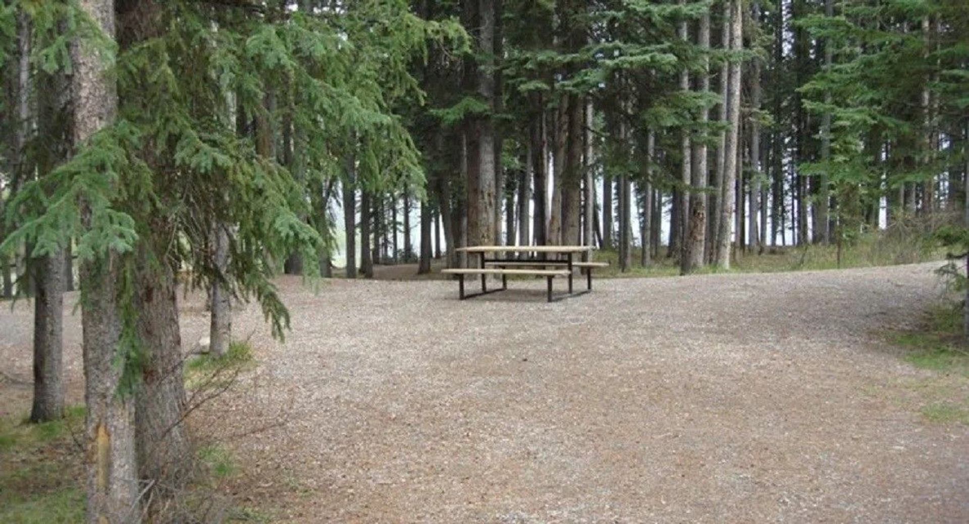 A campsite with a picnic table