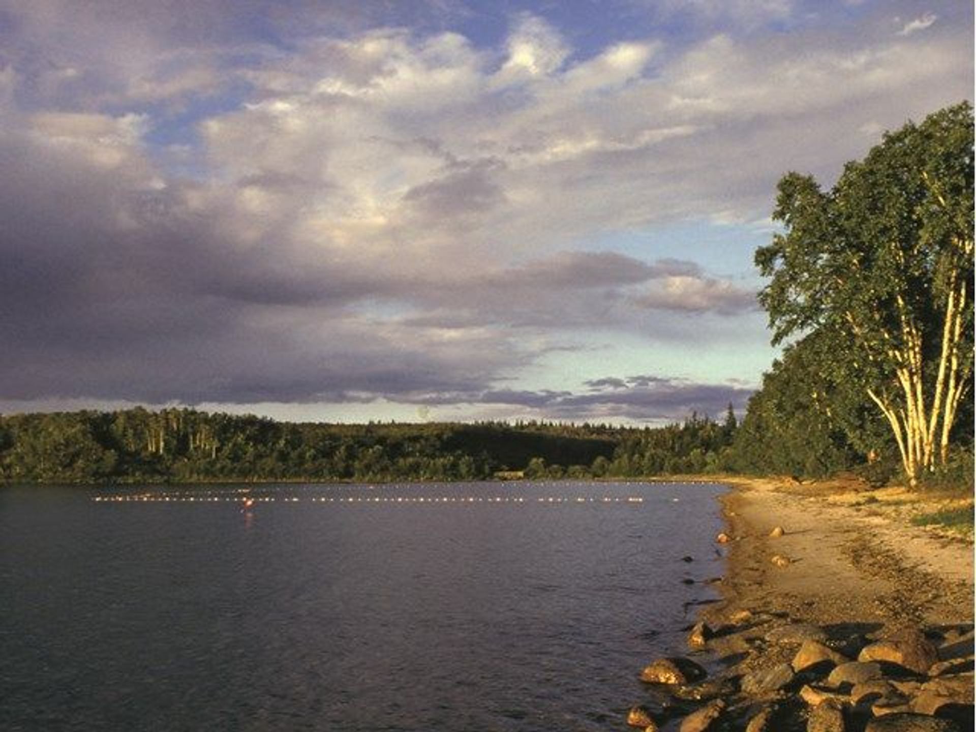 Beach area at the park