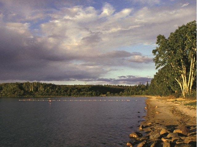 Beach area at the park