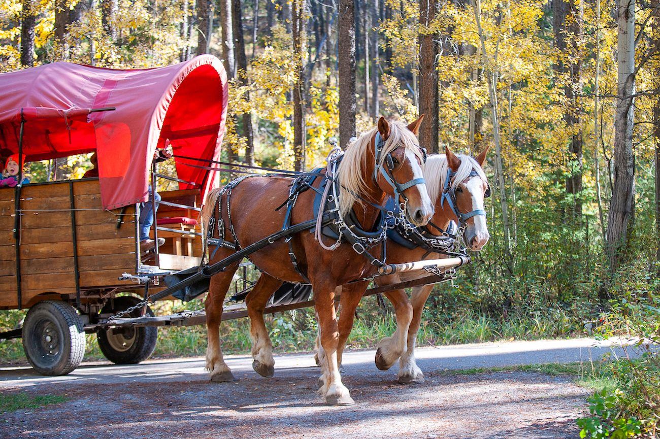 Wagon ride