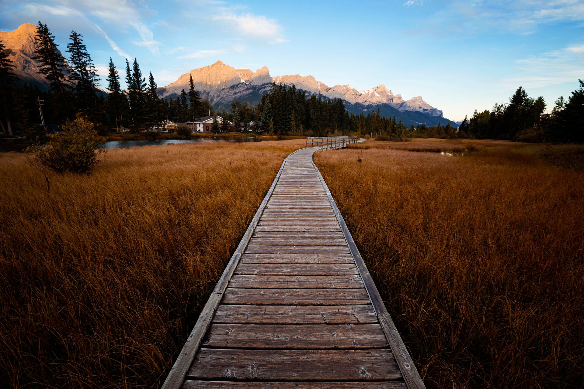 Policemans Creek Trail in Canmore.