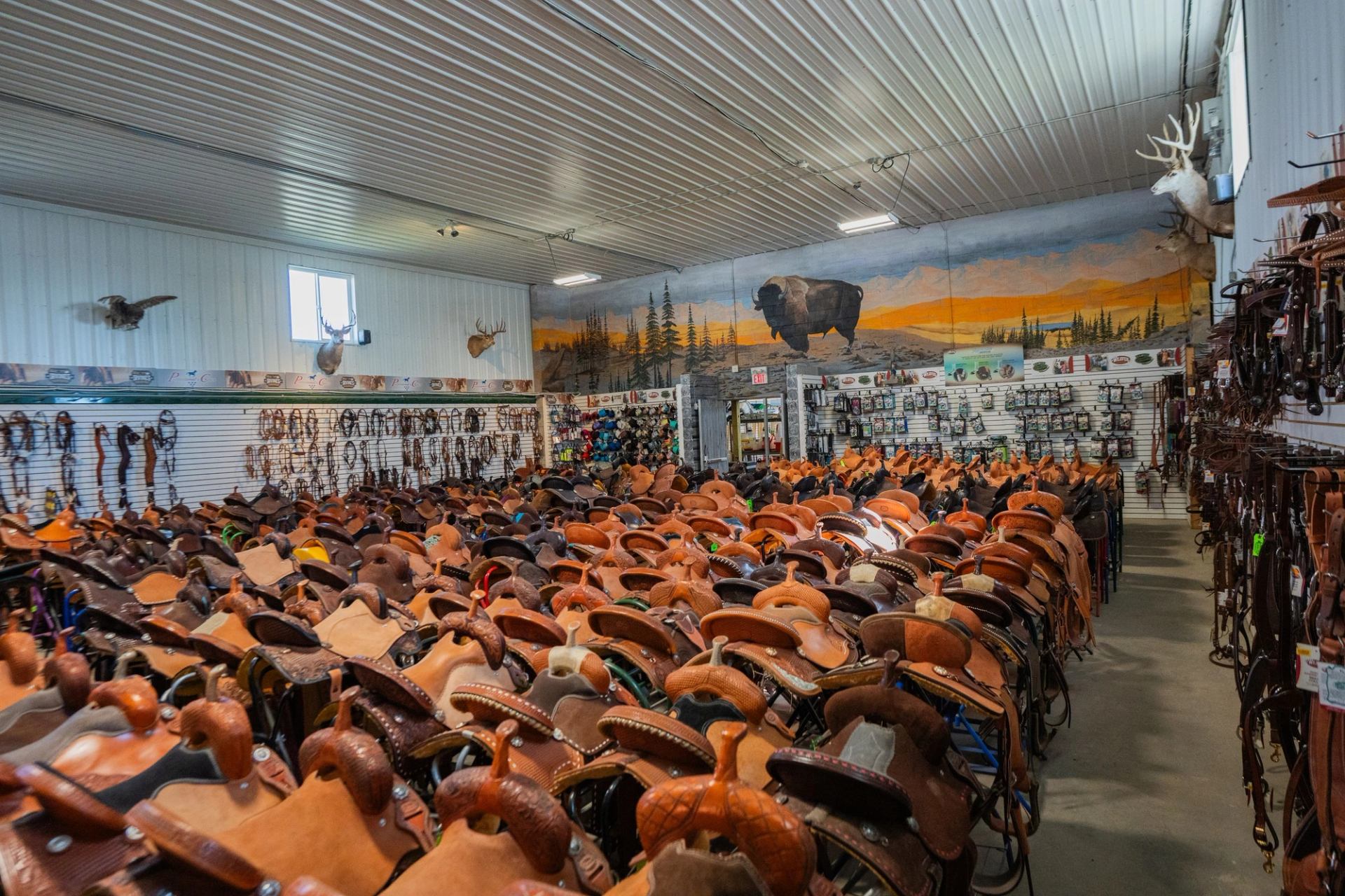 A selection of saddles at Irvine Tack & Western Wear.