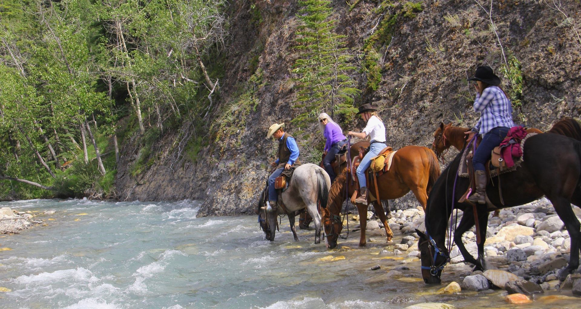 Horses taking a drink while crossing Cral Creek