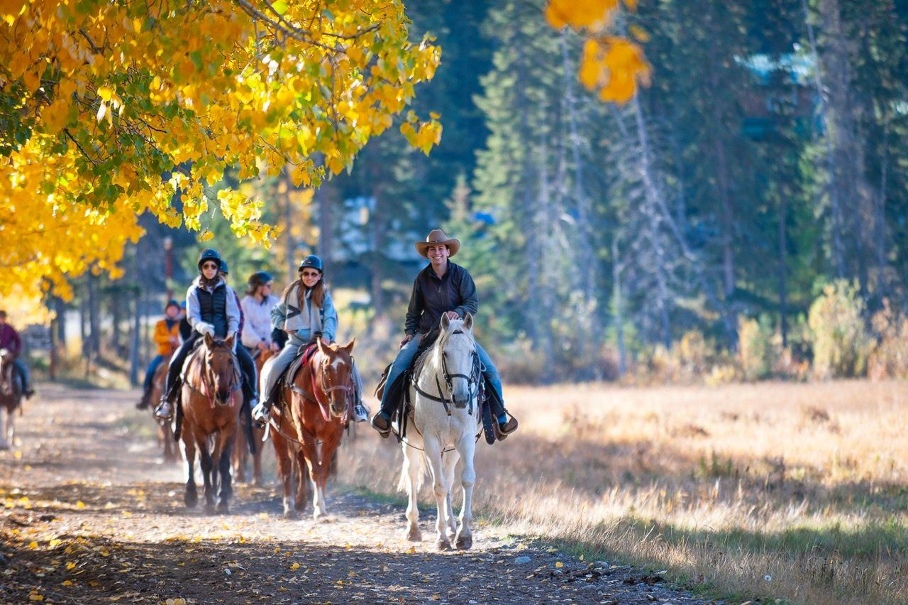 Group riding the horses