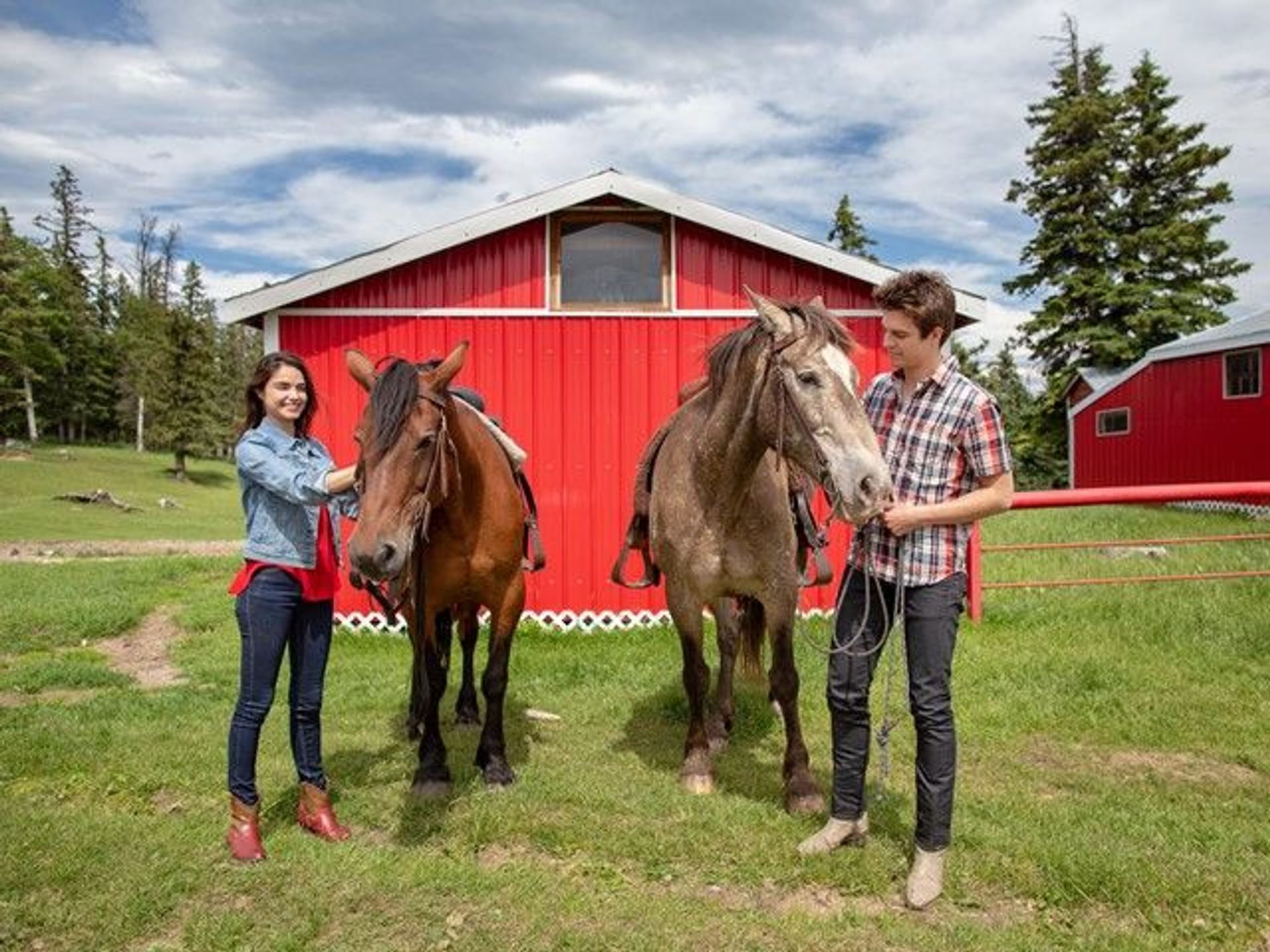 Two children petting horses