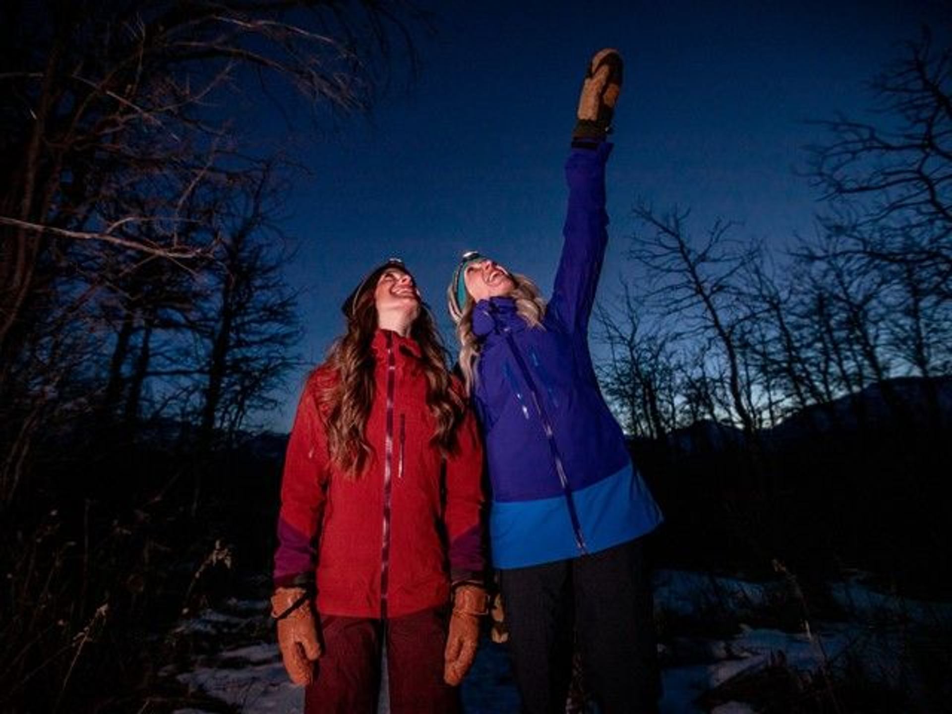 Remember to look up, while on a Dark Sky Adventure Tour.