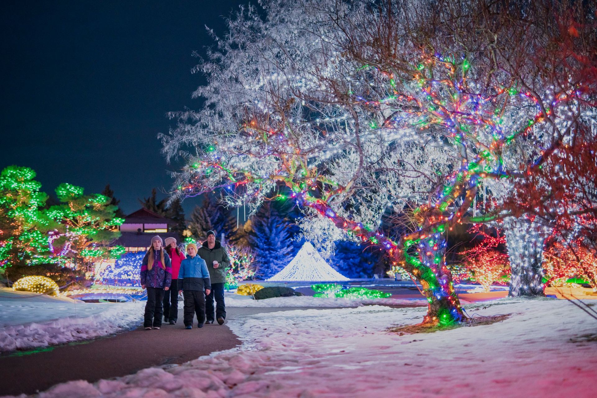 A family enjoy the lights at Nikka Yuko Japanese Gardens in Lethbridge