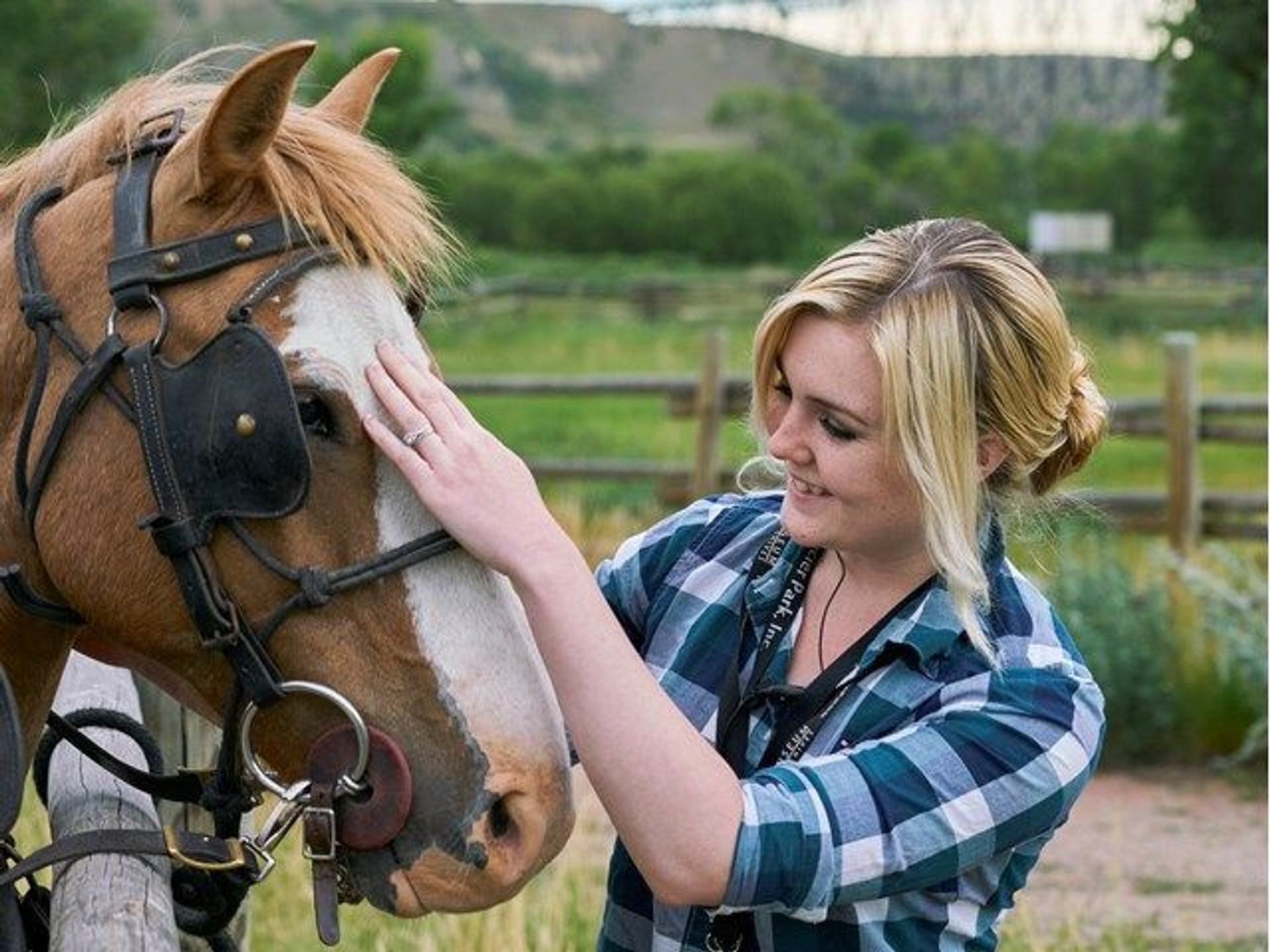 A girl petting a horse
