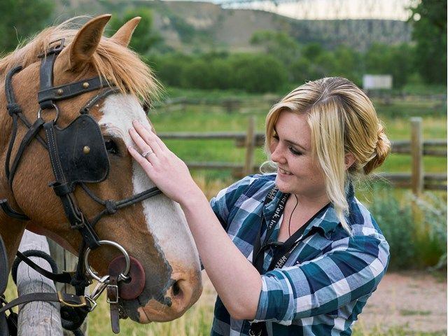 A girl petting a horse