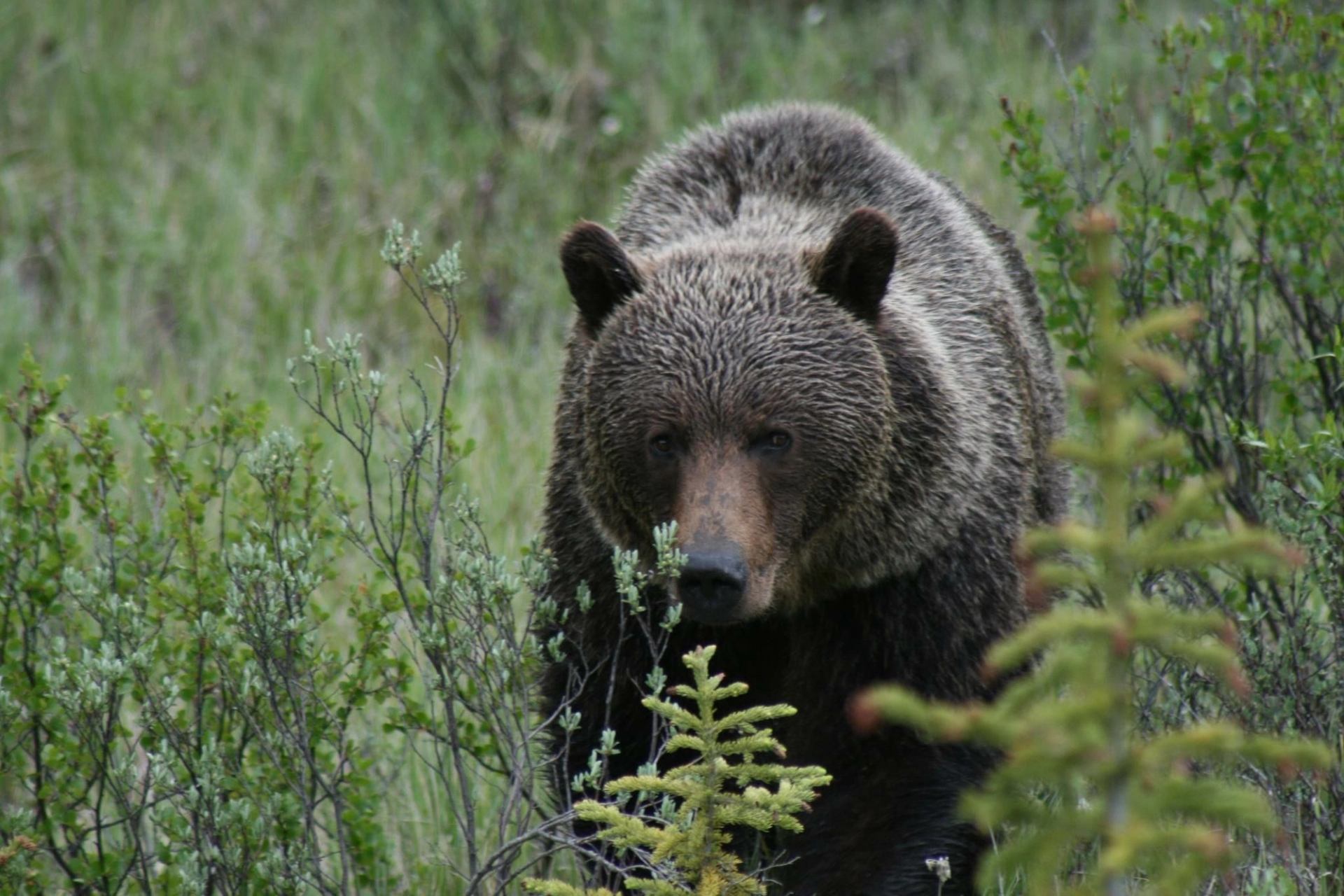 A good relationship is built on respect and understanding each other’s wants and needs.