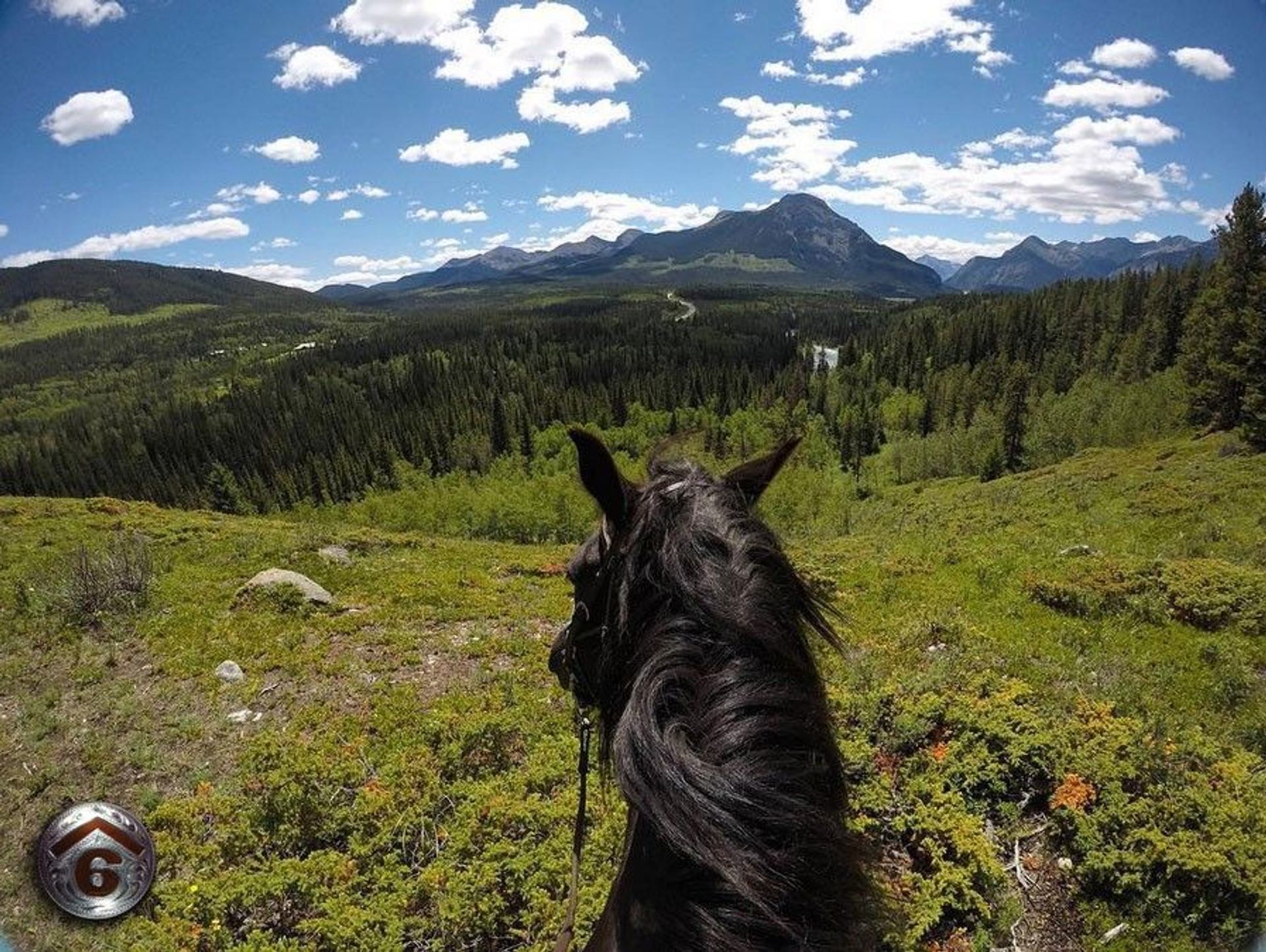 View of the Canadian Rockies from horseback.