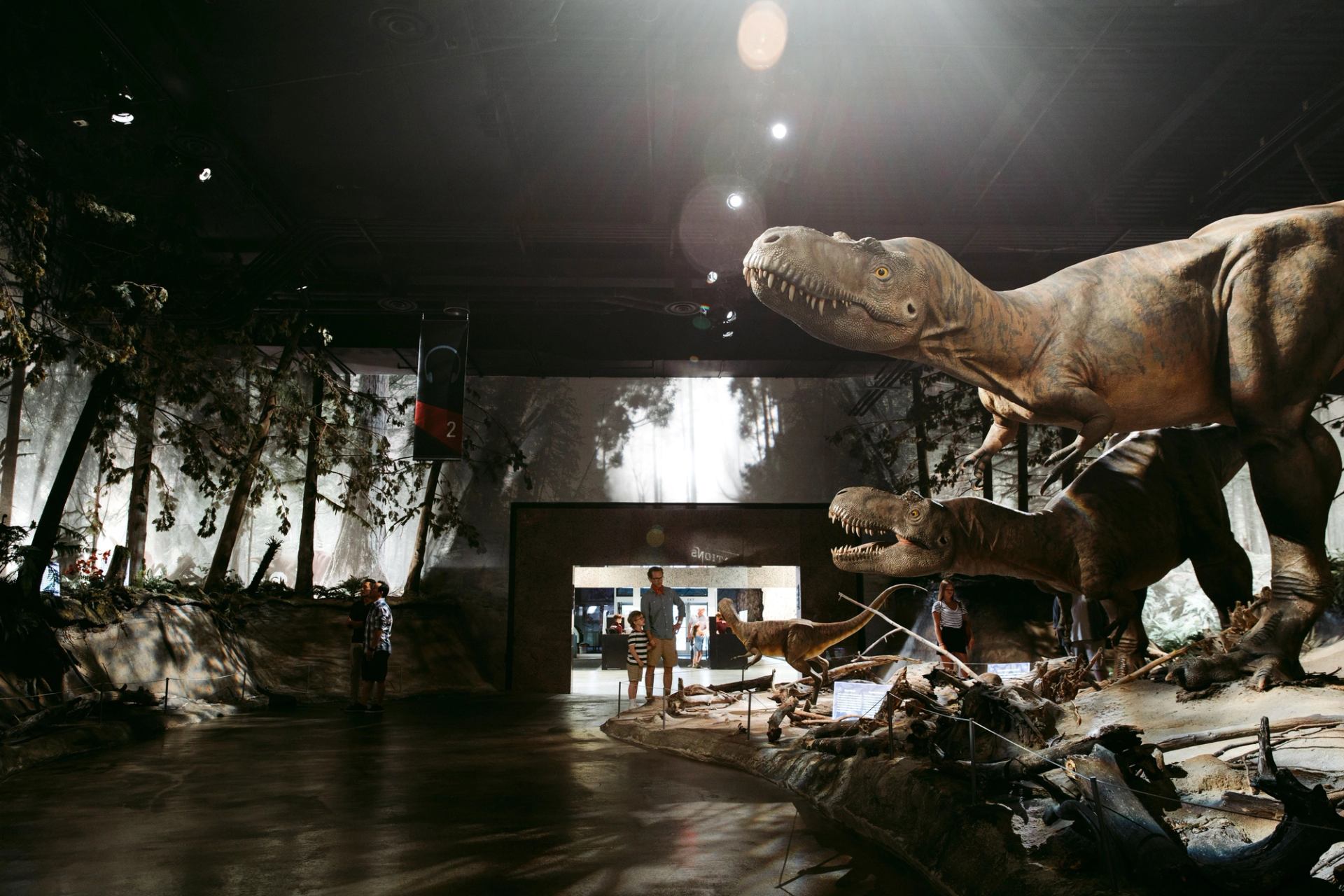 Man and child looking at dinosaur exhibits in the Royal Tyrrell Museum.