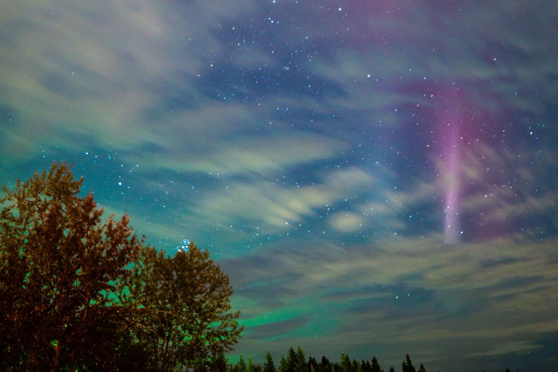 Beaver Hills Dark Sky Preserve.
