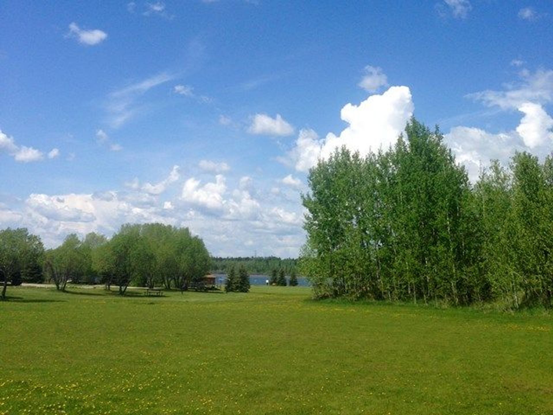 A grassy field at Wabamun Lake
