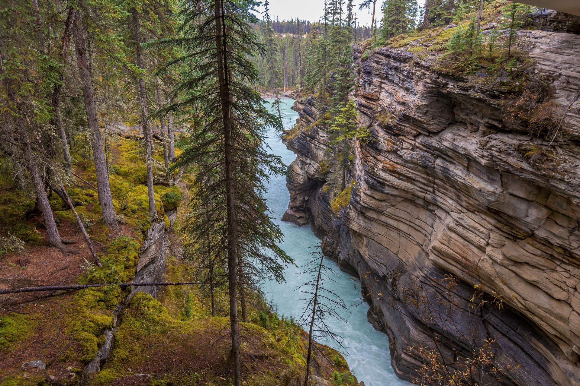 River cutting through a rock canyon at Athabasca Falls along the Icefields Parkway in Jasper National Park.