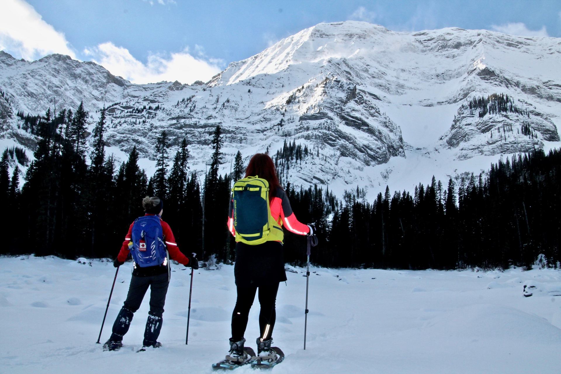 Two people cross country skiing