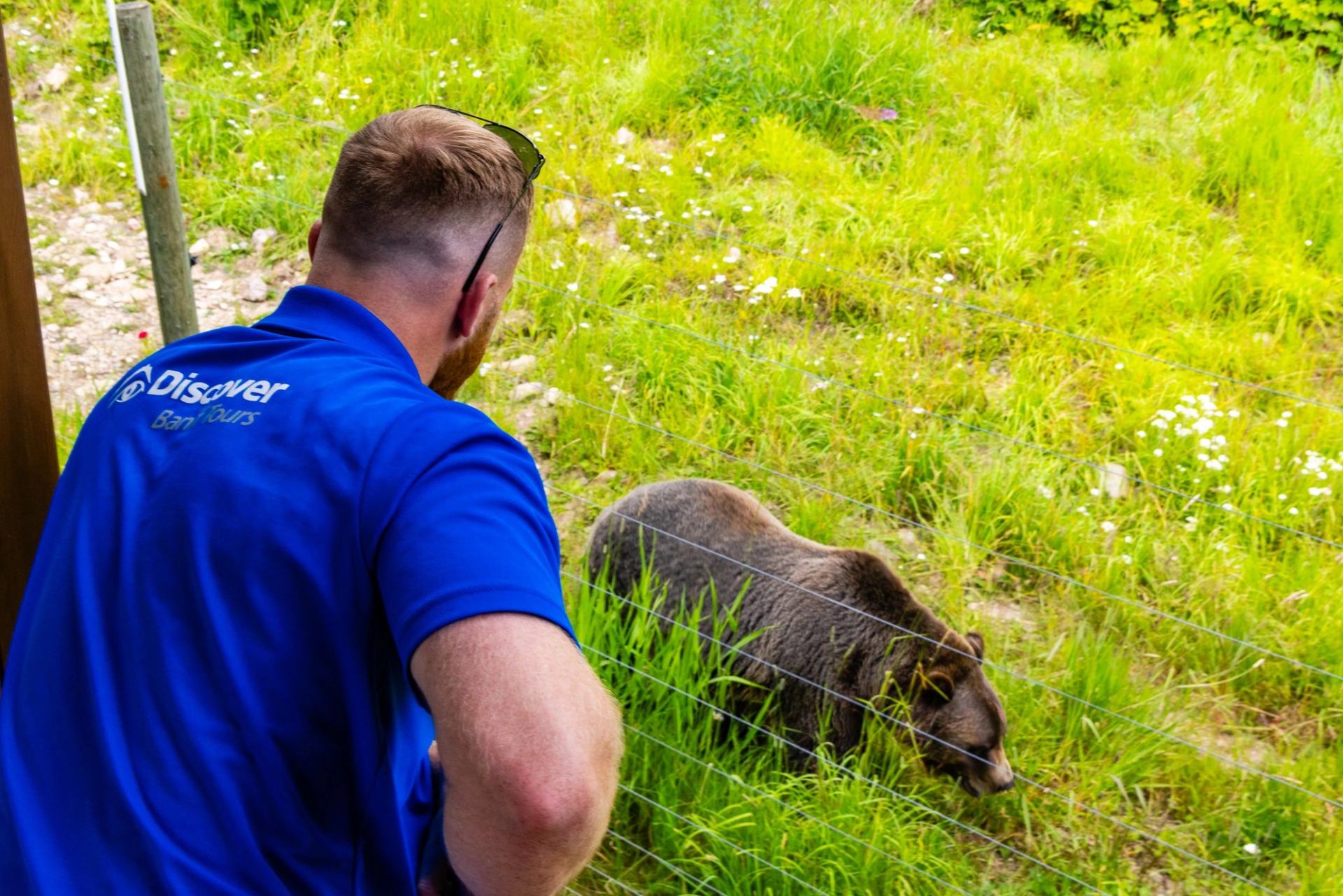 Popular tours include wildlife safaris, glacier excursions, and scenic drives.
