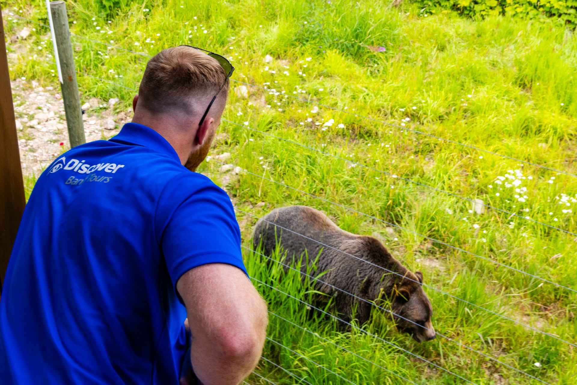 Popular tours include wildlife safaris, glacier excursions, and scenic drives.